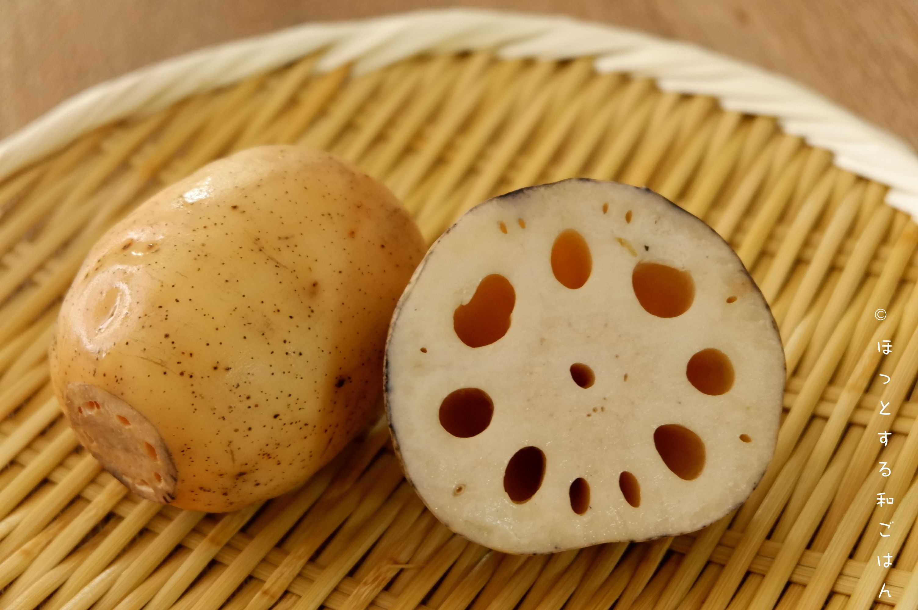 いま食べたい旬のれんこんについて どんな栄養が入っててどう役に立つ?